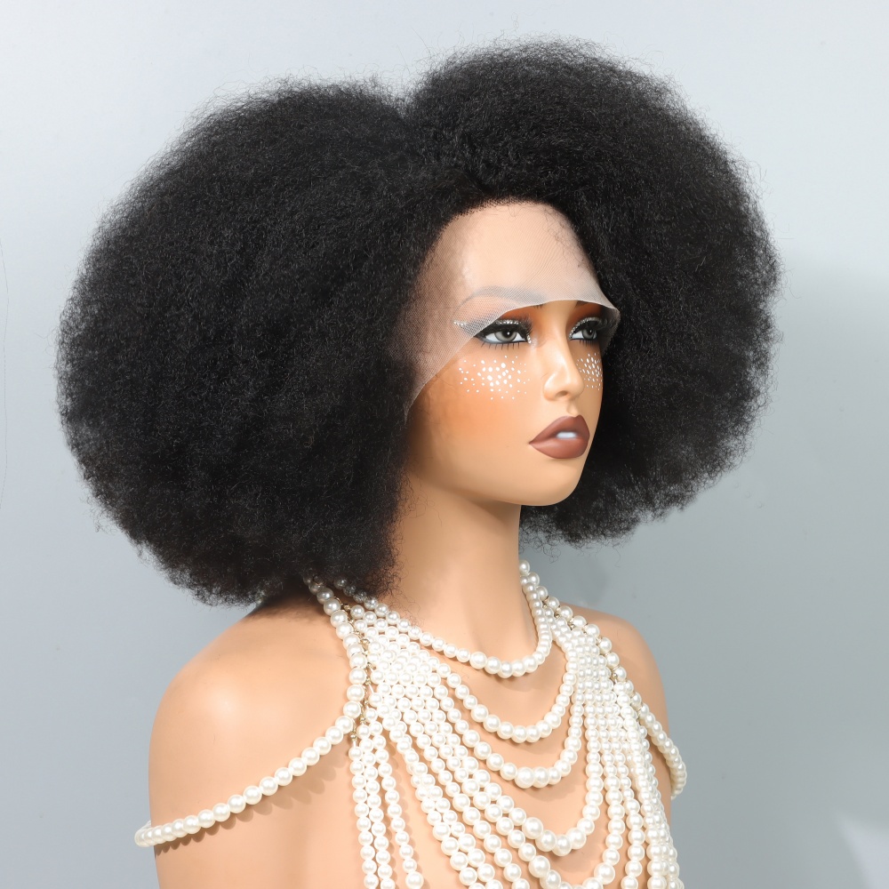 14 Inch Afro Wigs for Black Wo - Glueless Wear And Go Human Hair Wig ulasan dan harga