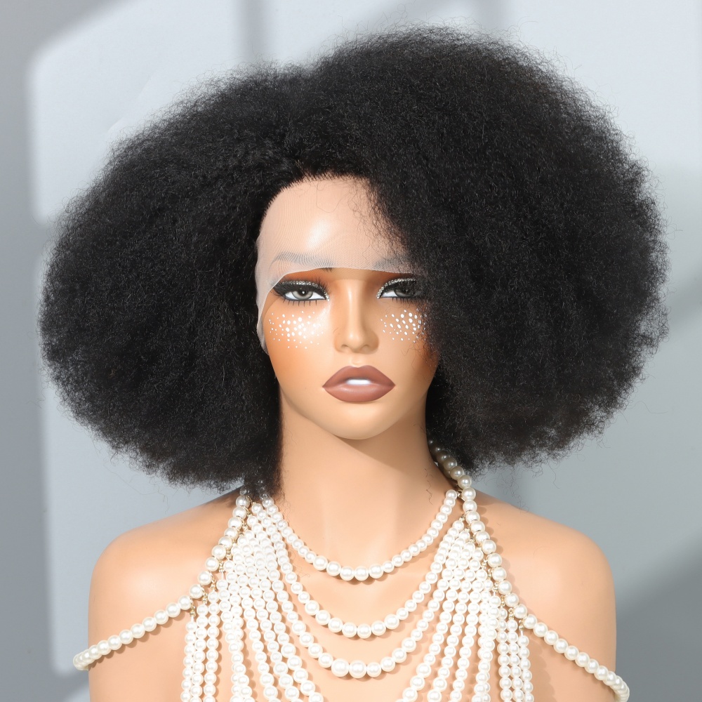 14 Inch Afro Wigs for Black Wo - Glueless Wear And Go Human Hair Wig ulasan dan harga